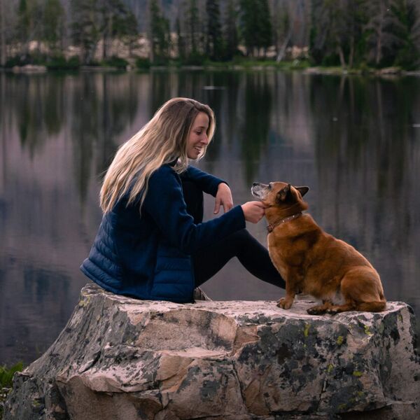 Women’s Narvik hybrid jacket Thumbnail